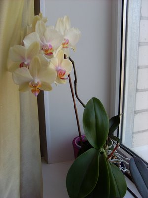 Еще одна моя любимица