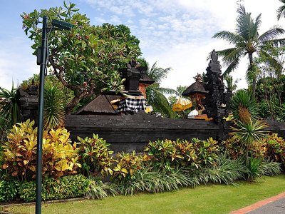 Кротоны на Бали.jpg