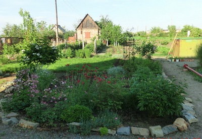 CIMG1609.JPG