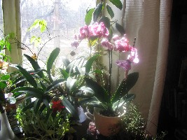 И еще раз с другого ракурса (все этим летом)