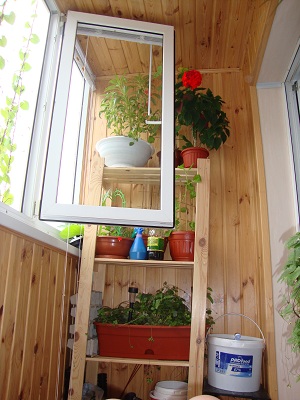 Стеллажик из Икеи. В ведре вода для полива, нижний этаж - технический ))