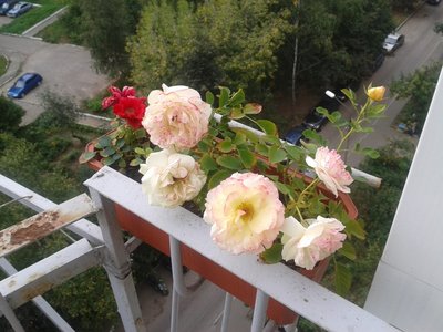 2013-08-31 15.30.39.jpg