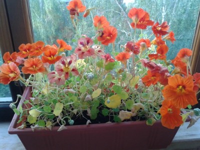 2014-06-26 21.02.33.jpg