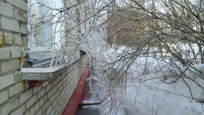 Тренировка в добавлении фото - наша весна