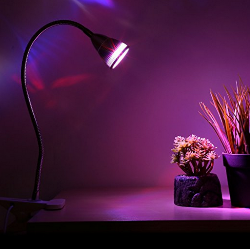 plant_lamp.PNG