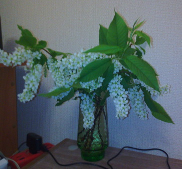 IMG_20190511_203720.jpg