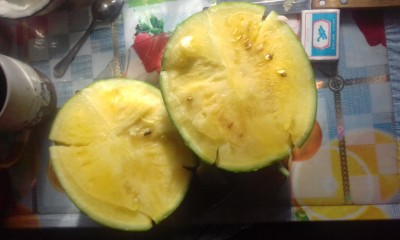 Желтый ранний