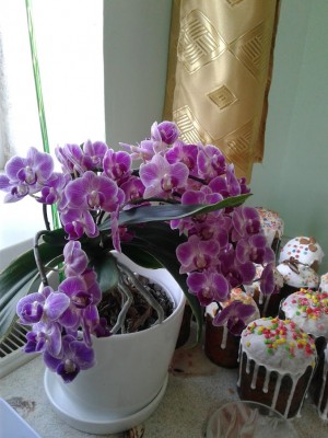 20210502_120705 (1).jpg