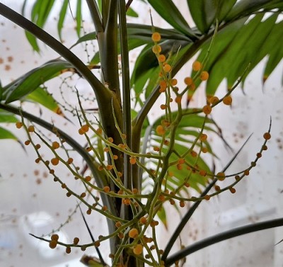 20211128_124927 (3).jpg