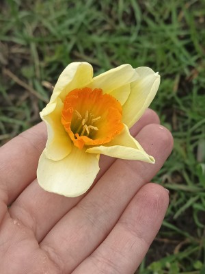 WhatsApp Image 2022-04-14 at 12.44.38 (1).jpeg