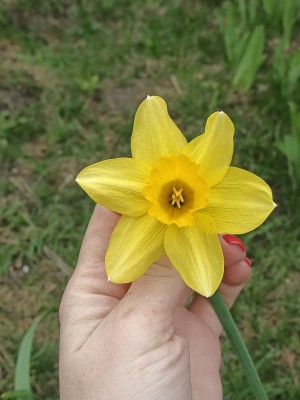 WhatsApp Image 2022-04-14 at 12.44.38 (2).jpeg