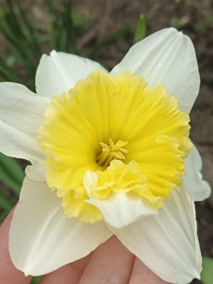 WhatsApp Image 2022-04-14 at 12.44.38 (3).jpeg