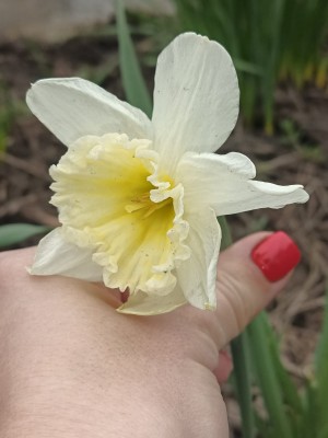 WhatsApp Image 2022-04-14 at 12.44.39.jpeg