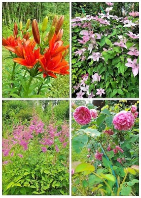 Наша дача.jpg