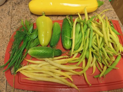 WhatsApp Image 2022-08-12 at 20.09.52.jpeg