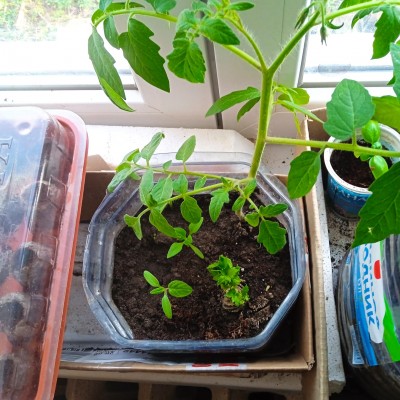 WhatsApp Image 2023-04-20 at 11.22.51.jpeg