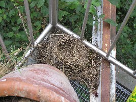 Jahr 2008 bis 10,07,2008 105.jpg