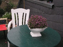 Jahr 2008 bis 10,07,2008 109.jpg