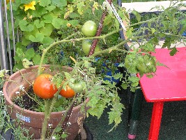 Jahr 2008 bis 10,07,2008 135.jpg