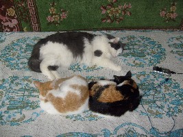 2 сентября 2008 (29).jpg