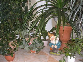 летающая леди 008.jpg