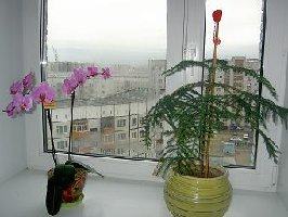 Воттакие они у меня)