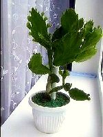 Изображение 646.jpg