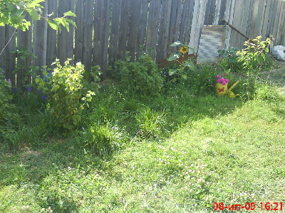 Зона 1 (с другой стороны)