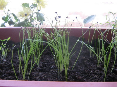 Изображение 014.jpg