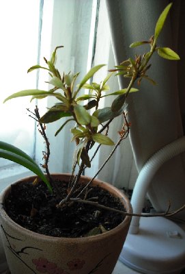 последние полгода