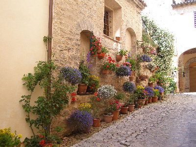 0_35cea_741aa354_origАссизи-город в центре Италии, область Умбрия, город утопает в цветах.jpg